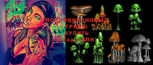 ALPHA-PVP Каменка